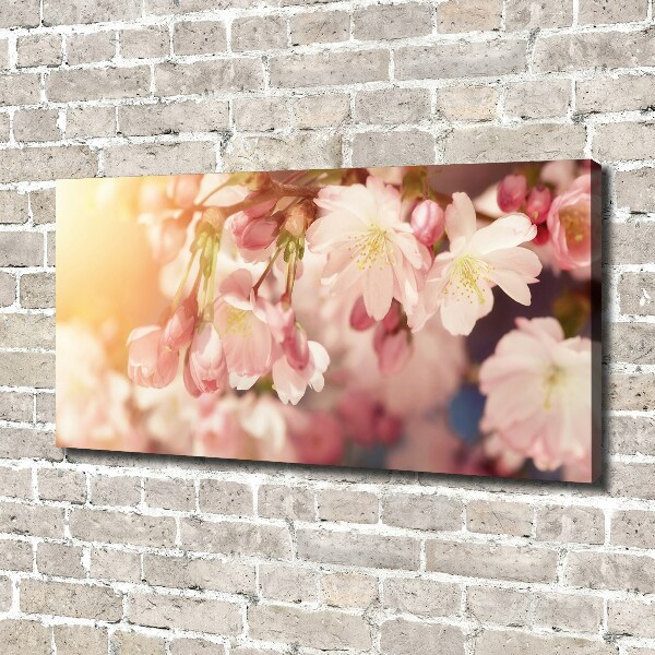 Canvas wall art Cherry blossoms