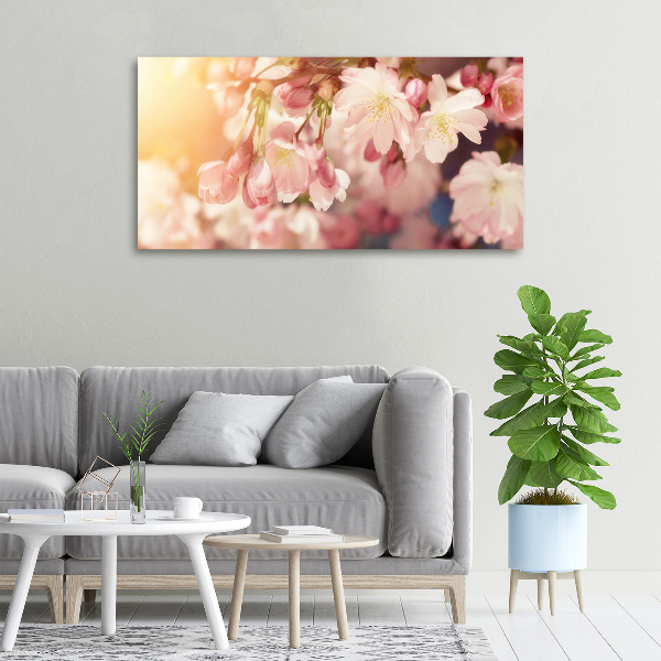 Canvas wall art Cherry blossoms