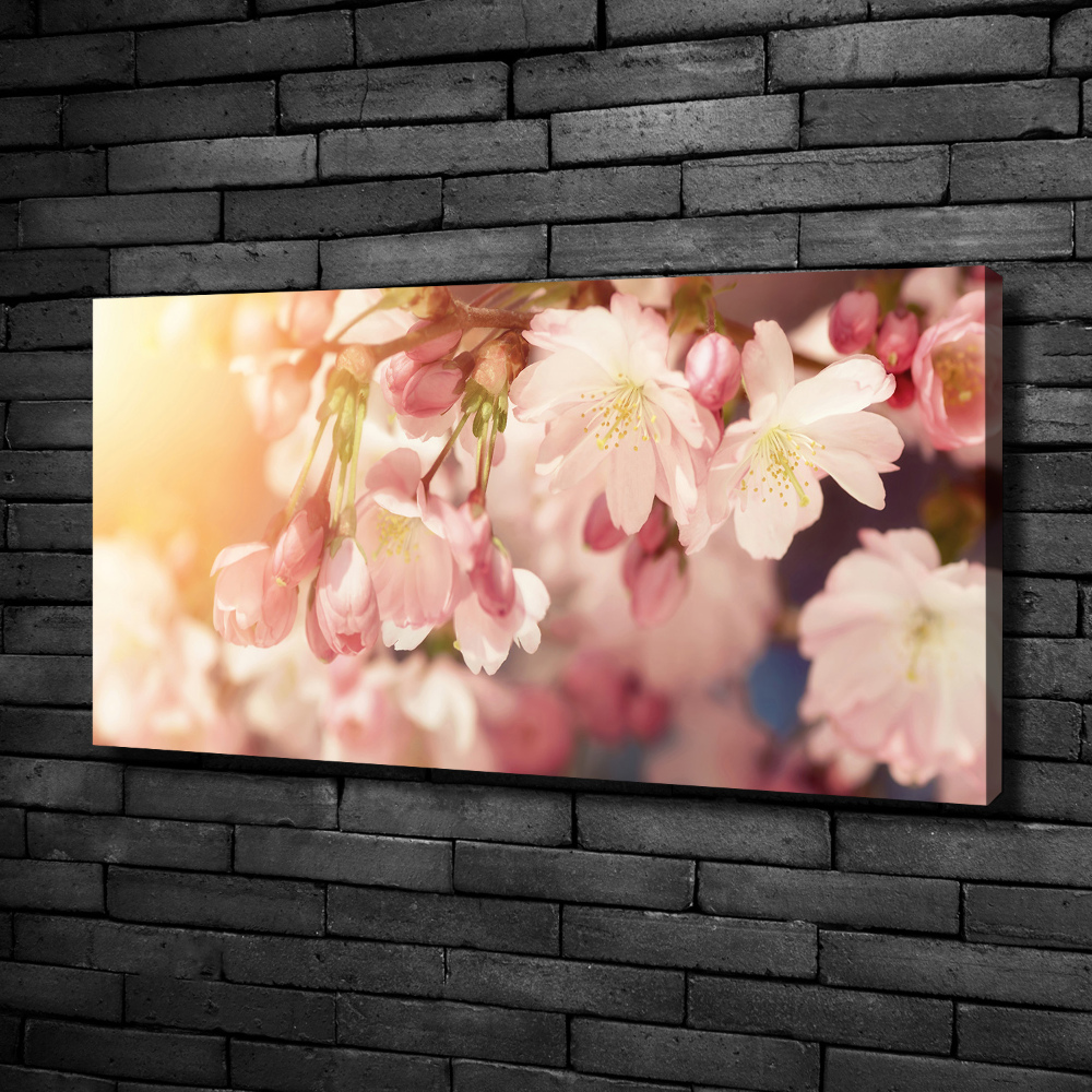 Canvas wall art Cherry blossoms