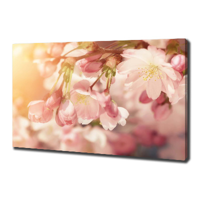 Canvas wall art Cherry blossoms