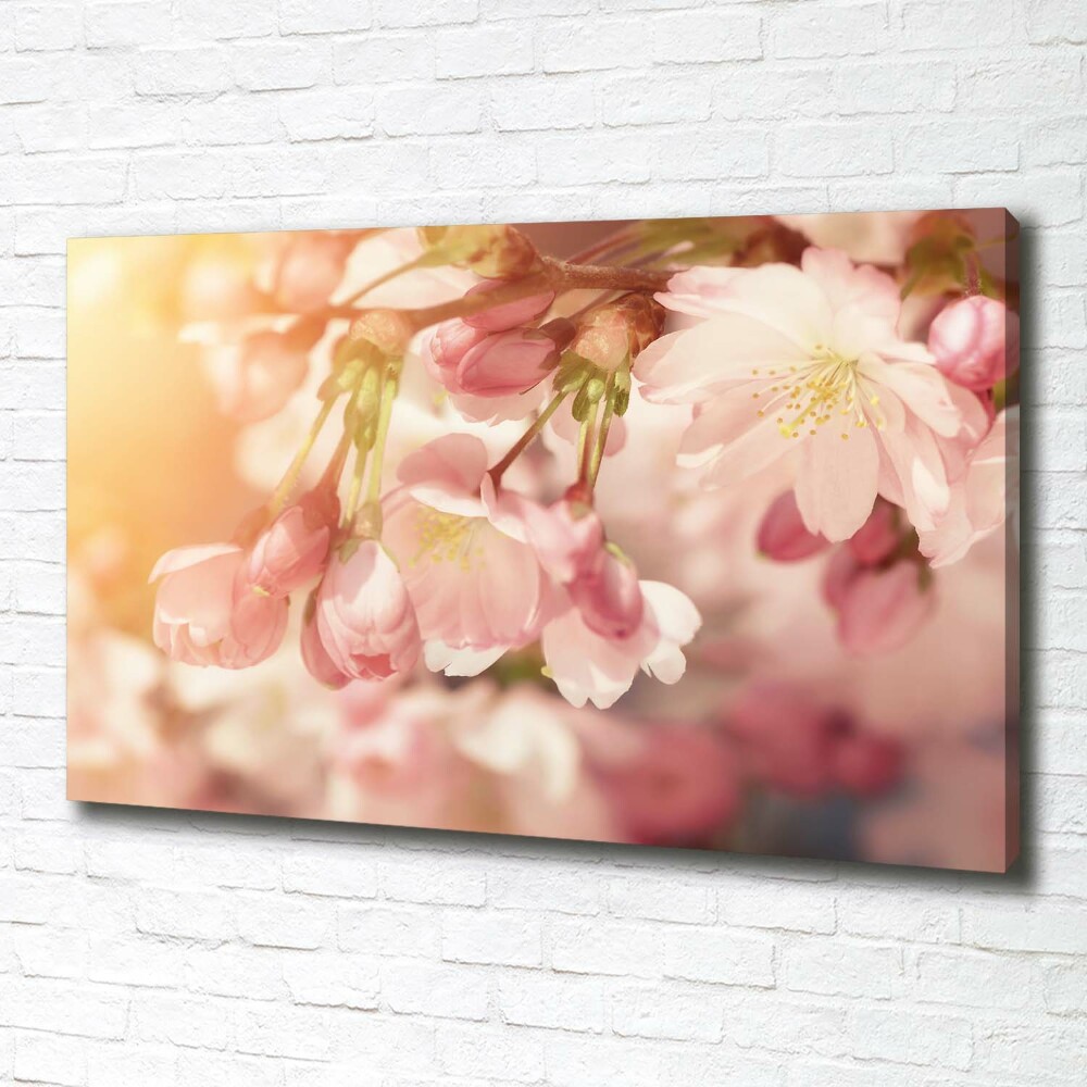 Canvas wall art Cherry blossoms