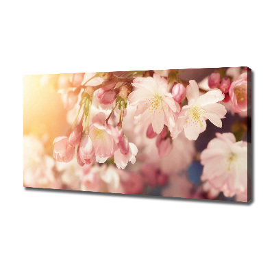 Canvas wall art Cherry blossoms