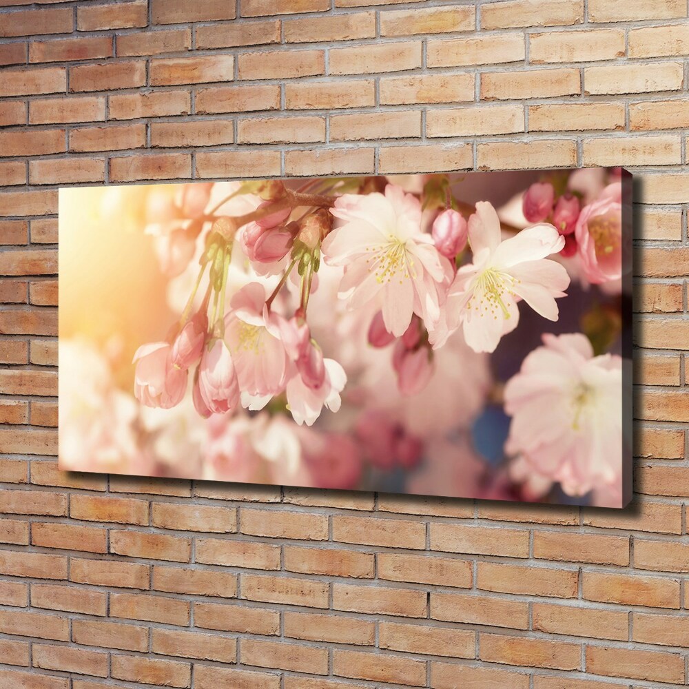 Canvas wall art Cherry blossoms