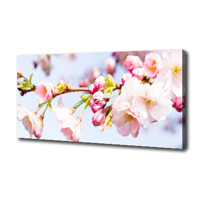 Canvas wall art Cherry blossoms