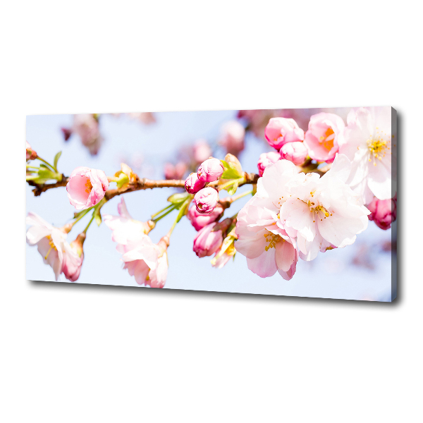 Canvas wall art Cherry blossoms