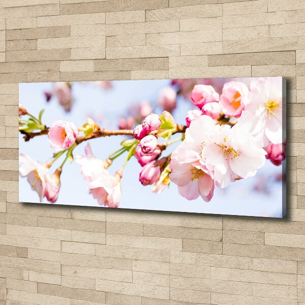 Canvas wall art Cherry blossoms