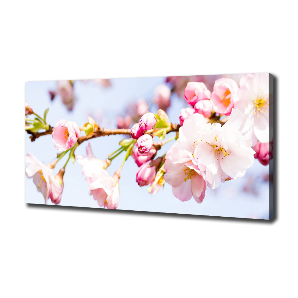 Canvas wall art Cherry blossoms