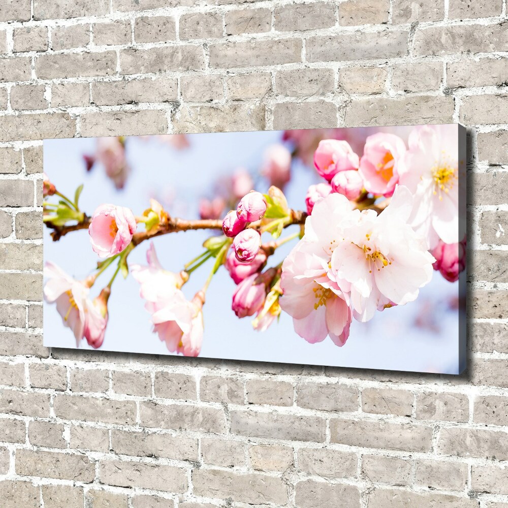 Canvas wall art Cherry blossoms