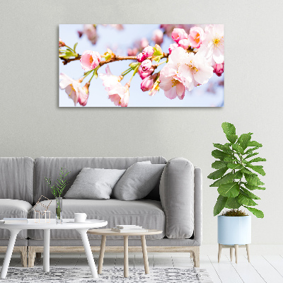 Canvas wall art Cherry blossoms