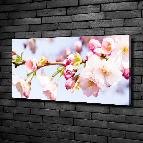 Canvas wall art Cherry blossoms