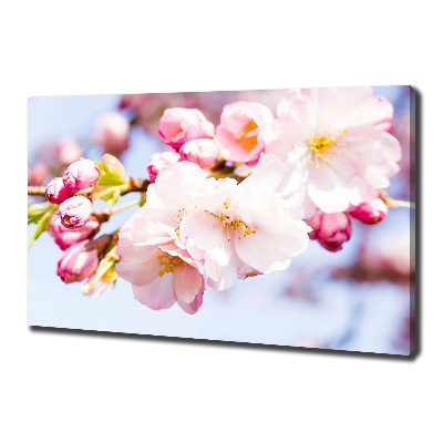 Canvas wall art Cherry blossoms