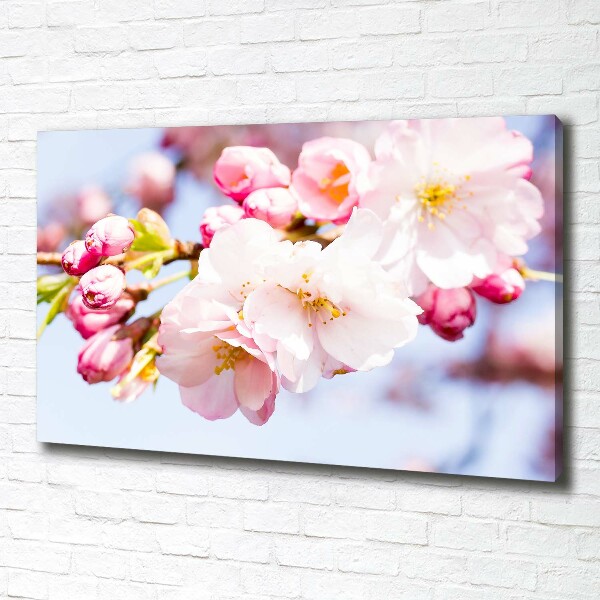 Canvas wall art Cherry blossoms