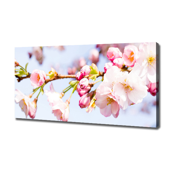 Canvas wall art Cherry blossoms