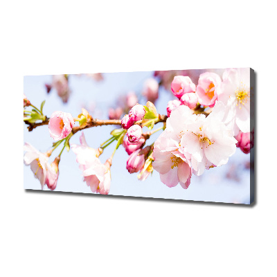 Canvas wall art Cherry blossoms