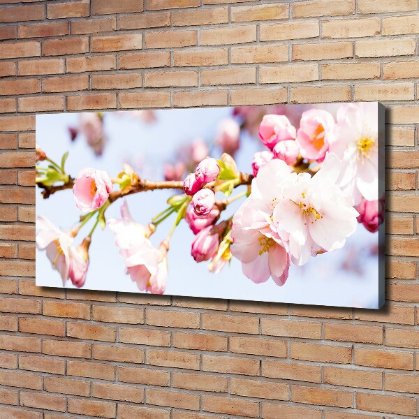 Canvas wall art Cherry blossoms