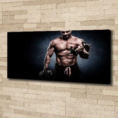 Canvas wall art Muscle structure