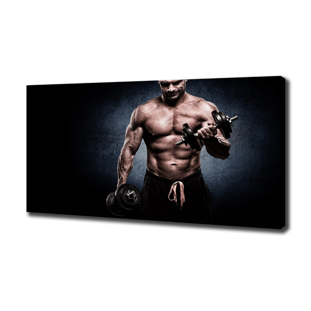 Canvas wall art Muscle structure