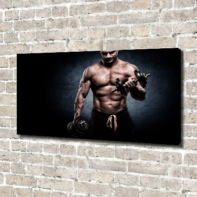 Canvas wall art Muscle structure