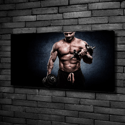 Canvas wall art Muscle structure