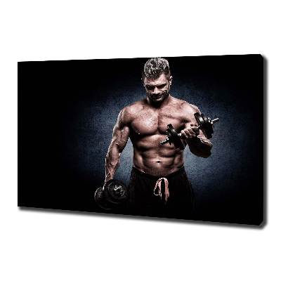 Canvas wall art Muscle structure