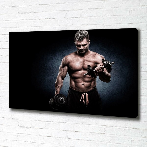 Canvas wall art Muscle structure