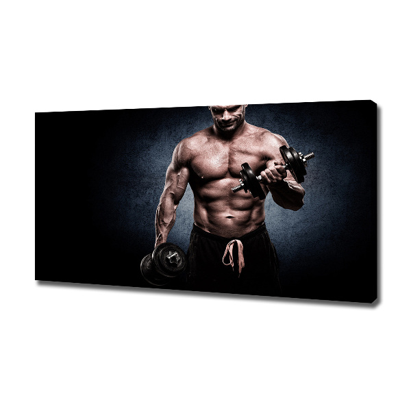 Canvas wall art Muscle structure