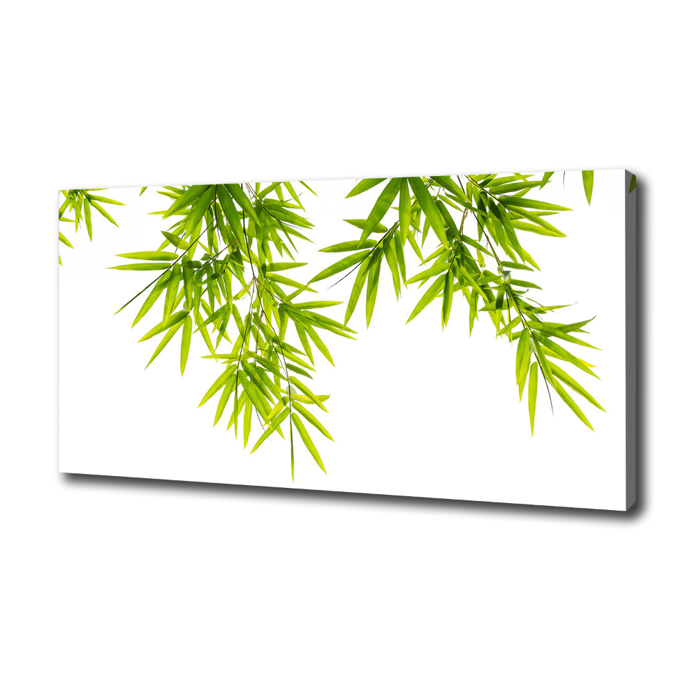 Canvas wall art Bamboo leaves