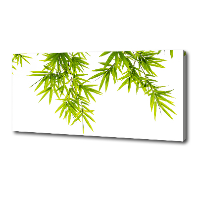 Canvas wall art Bamboo leaves