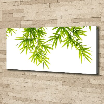 Canvas wall art Bamboo leaves