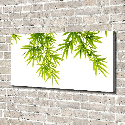 Canvas wall art Bamboo leaves