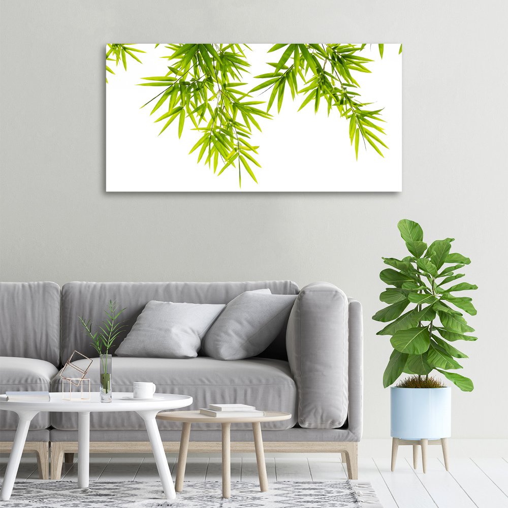 Canvas wall art Bamboo leaves