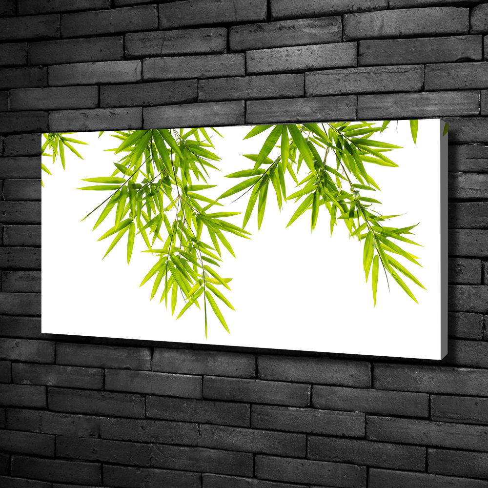 Canvas wall art Bamboo leaves