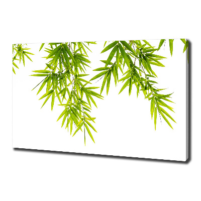 Canvas wall art Bamboo leaves