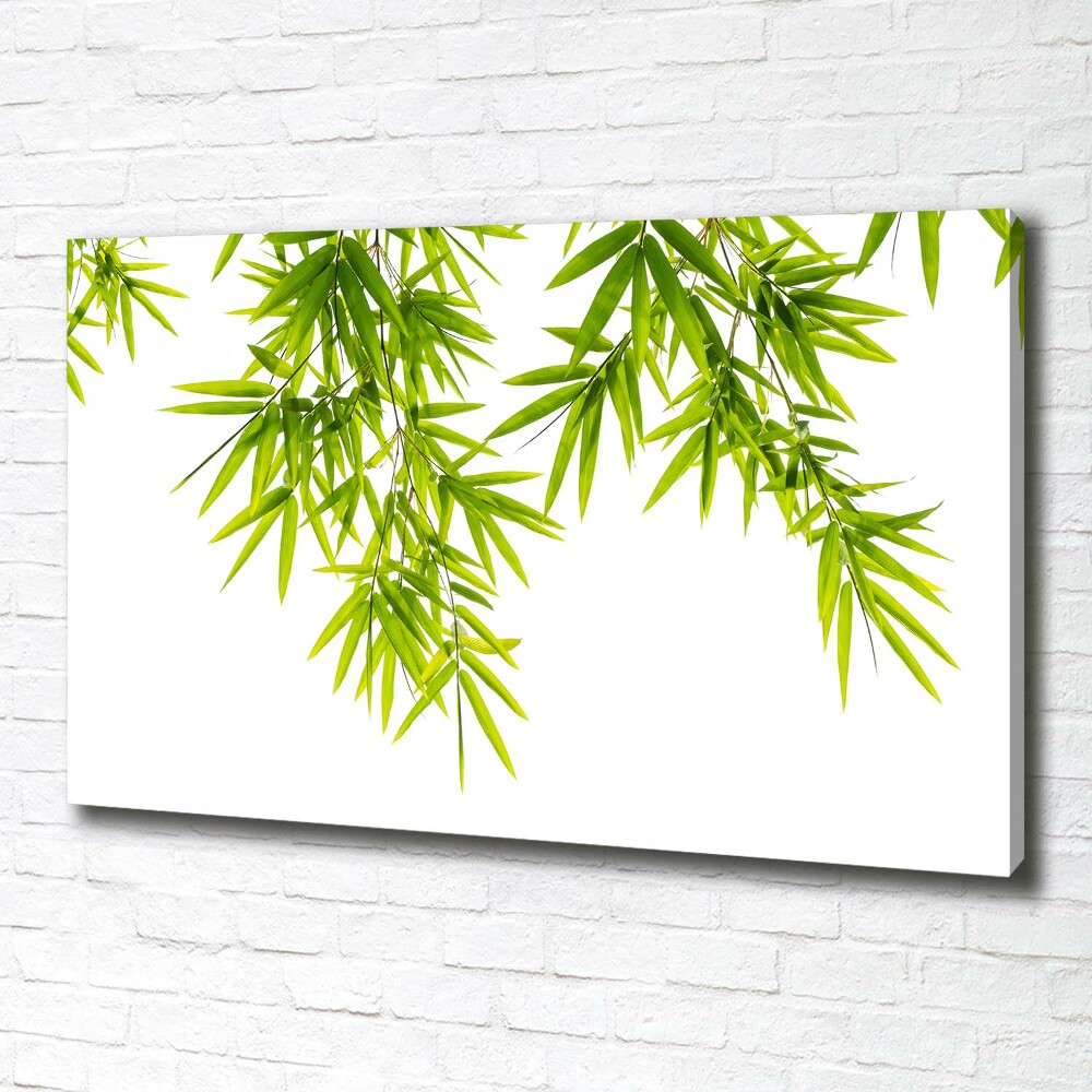 Canvas wall art Bamboo leaves