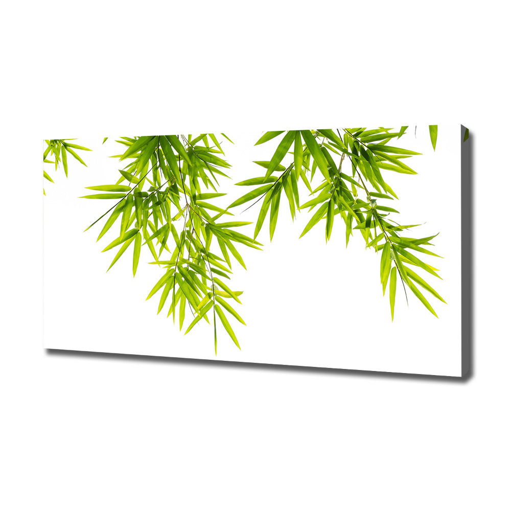 Canvas wall art Bamboo leaves