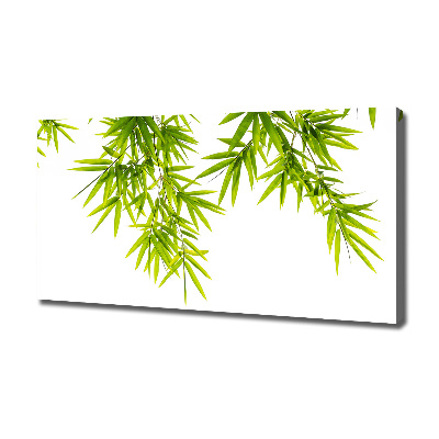 Canvas wall art Bamboo leaves