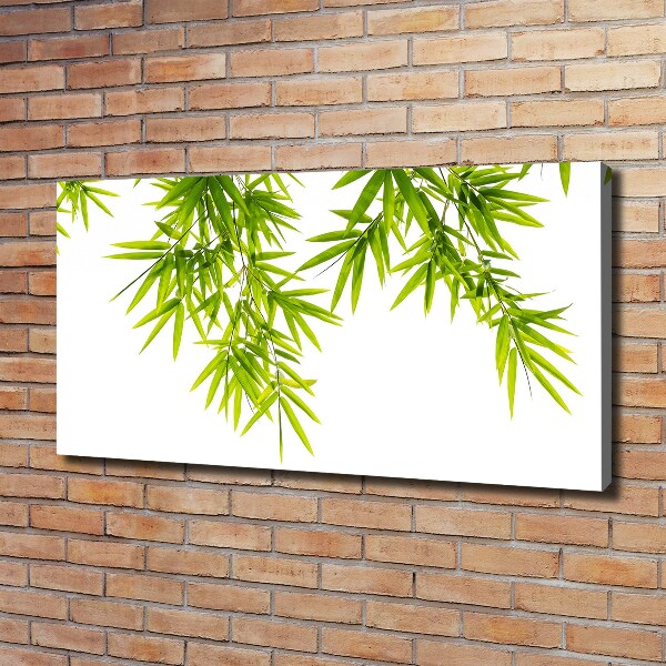 Canvas wall art Bamboo leaves