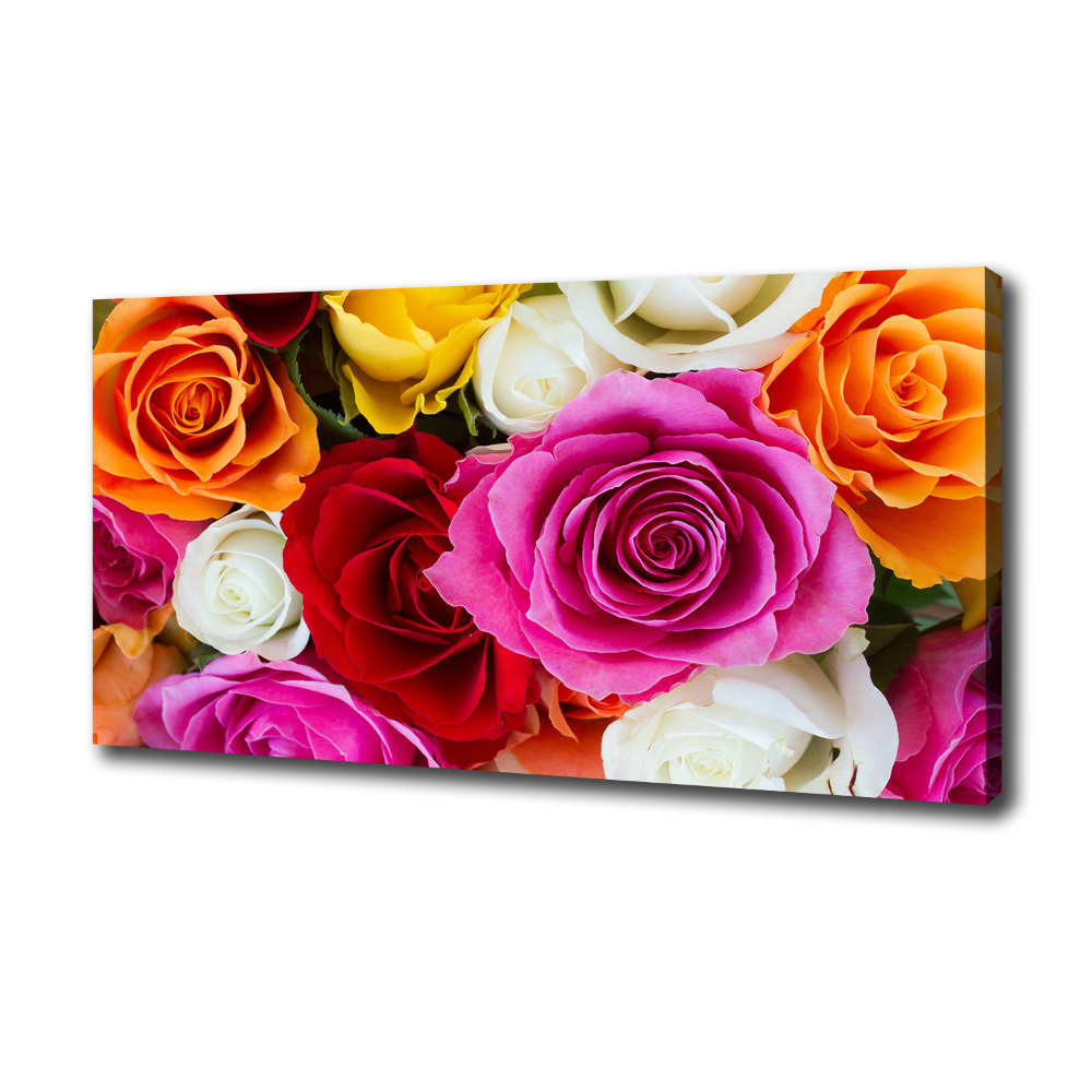 Canvas wall art Colorful roses