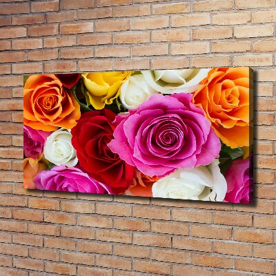 Canvas wall art Colorful roses