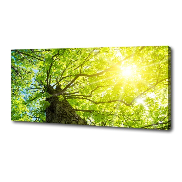 Canvas wall art Chestnut in spring