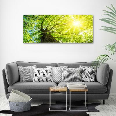 Canvas wall art Chestnut in spring