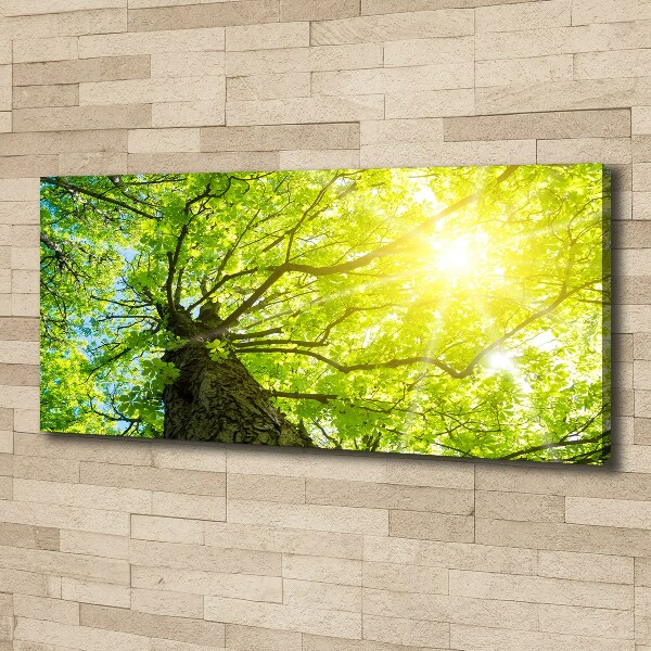 Canvas wall art Chestnut in spring