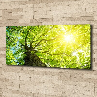 Canvas wall art Chestnut in spring