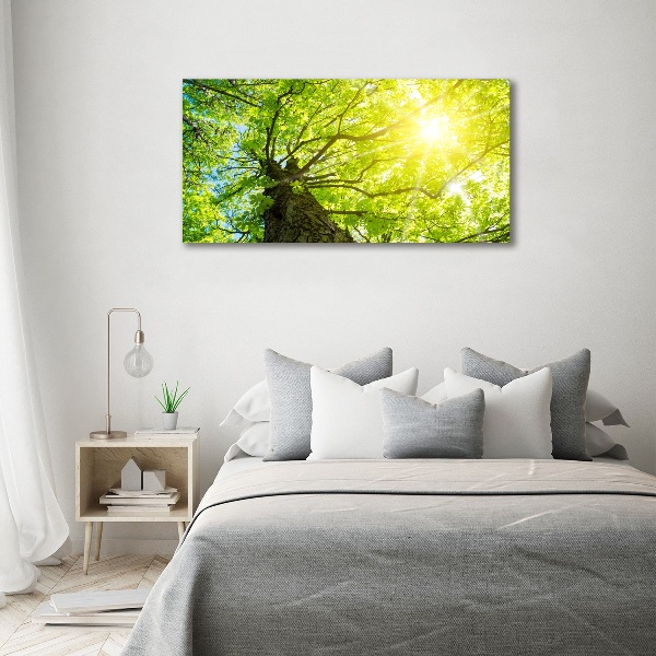 Canvas wall art Chestnut in spring