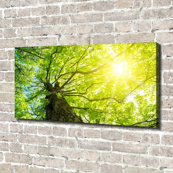 Canvas wall art Chestnut in spring