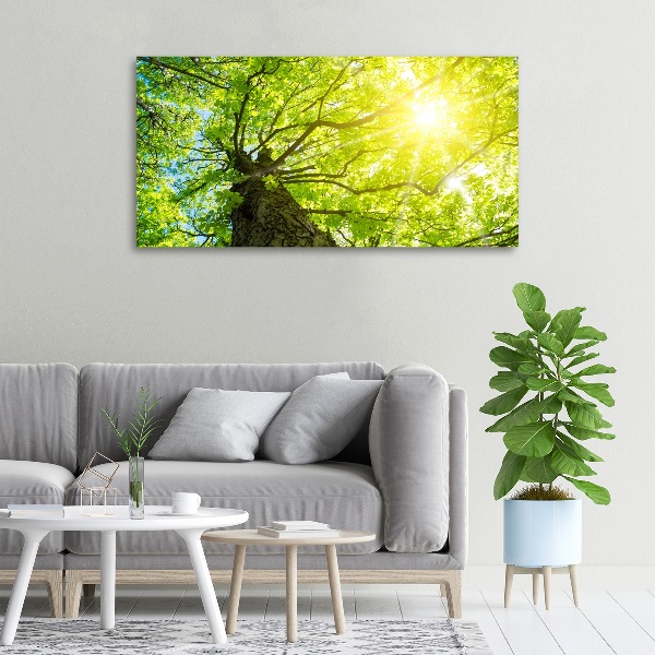 Canvas wall art Chestnut in spring