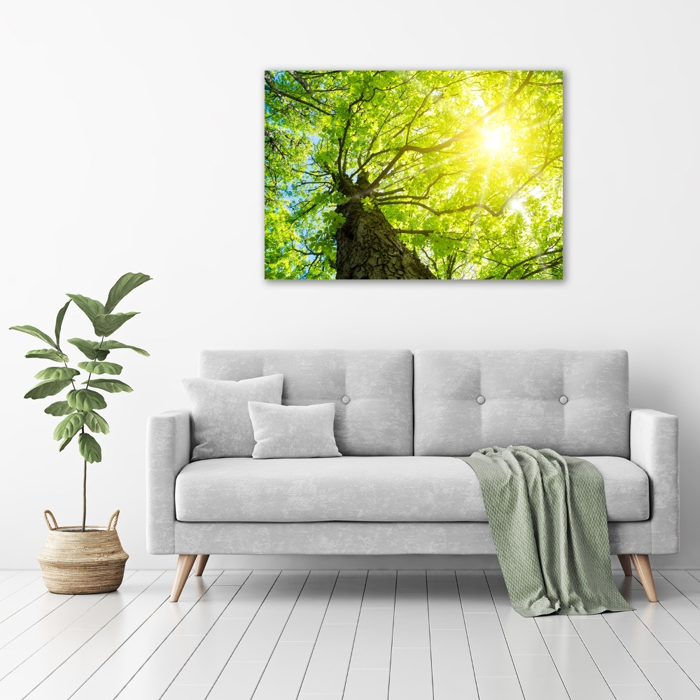 Canvas wall art Chestnut in spring