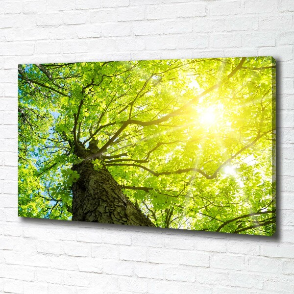 Canvas wall art Chestnut in spring