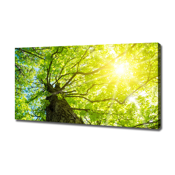 Canvas wall art Chestnut in spring