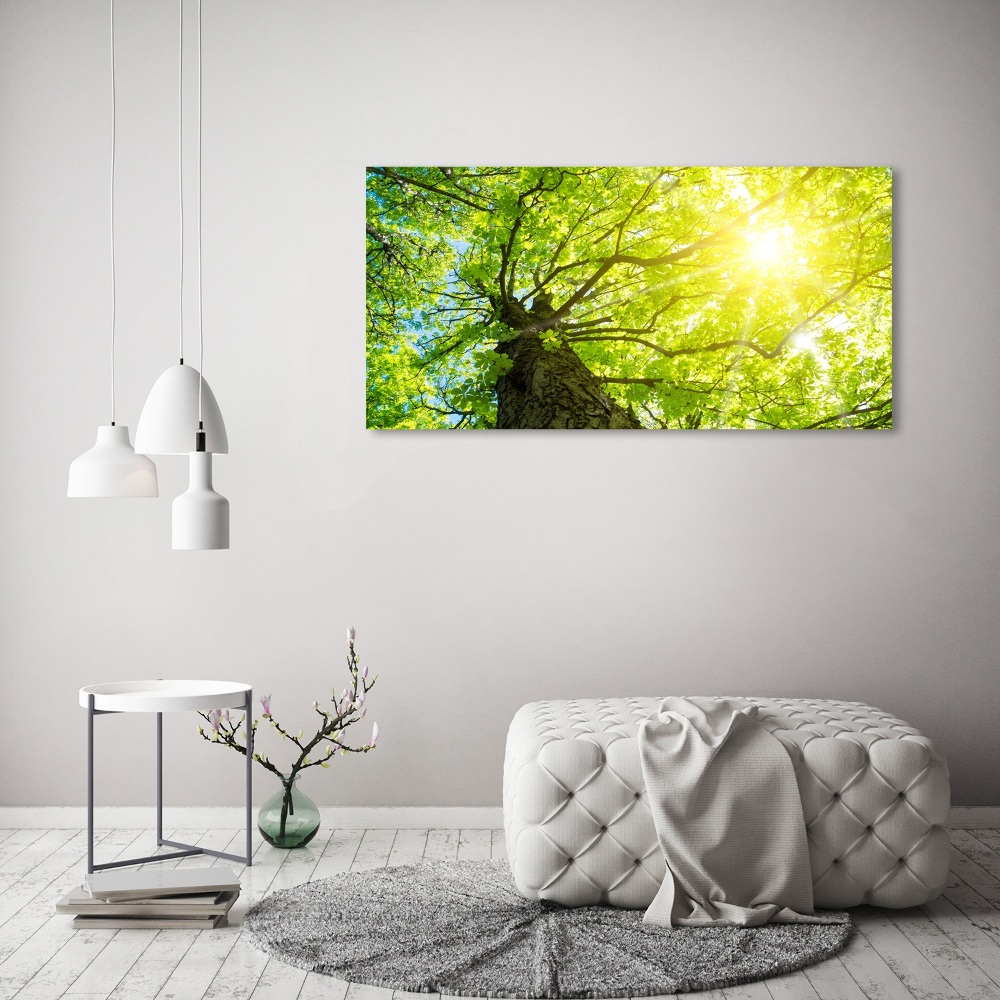 Canvas wall art Chestnut in spring